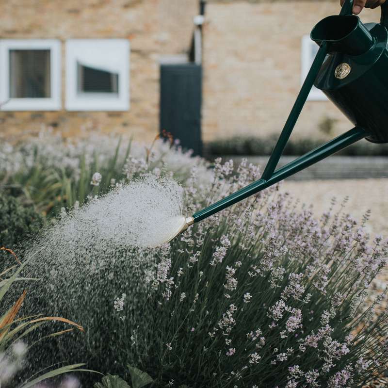 Haws The Warley Fall 9 L grøn